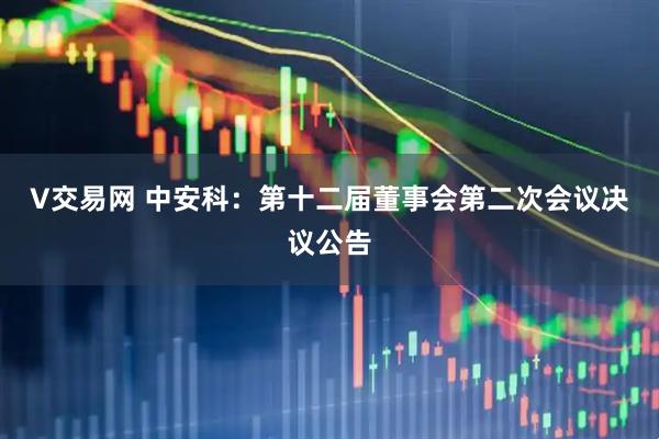 V交易网 中安科：第十二届董事会第二次会议决议公告