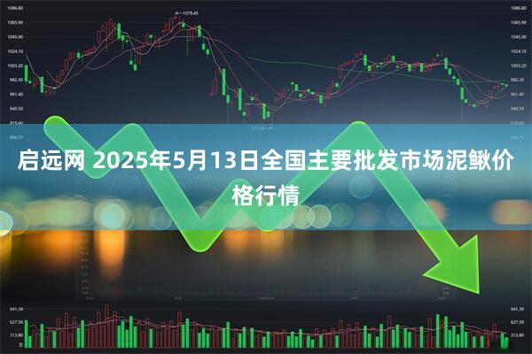启远网 2025年5月13日全国主要批发市场泥鳅价格行情