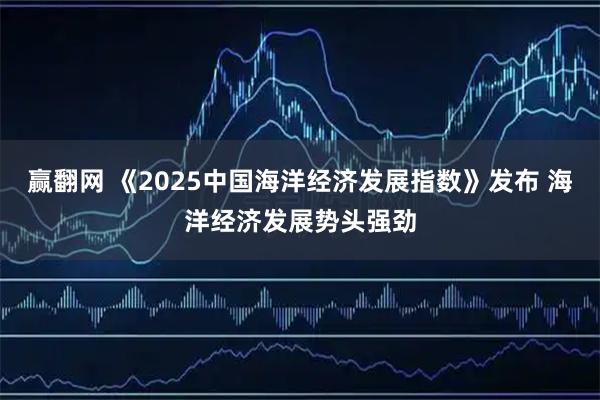 赢翻网 《2025中国海洋经济发展指数》发布 海洋经济发展势头强劲