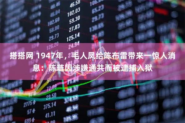 搭搭网 1947年，毛人凤给陈布雷带来一惊人消息：陈琏因涉嫌通共而被逮捕入狱